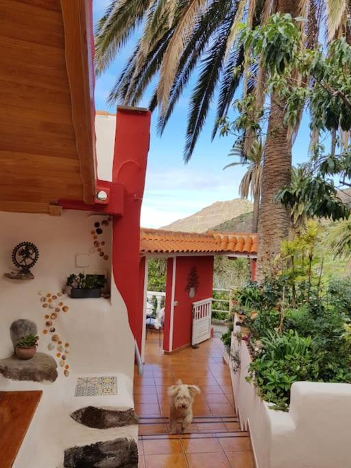 Appartement Hyggeland II - Oase Der Ruhe Im Palmendorf Tazo à Vallehermoso Extérieur photo